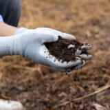 土の捨て方　土の処分　便利屋セイロン